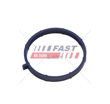 Těsnění kolektora ford transit 06> sací /11>  2.2 tdci ft49467