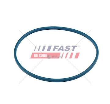 Těsnění palivového čerpadla fiat ducato 06> palivová nádrž oring ft48504