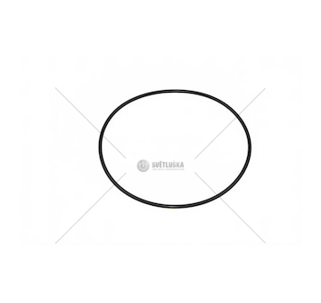 Těsnění palivového filtru Z25969.09