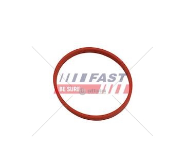 Těsnění renault kangoo ii 08> egr tube 1.5 dci ft49868