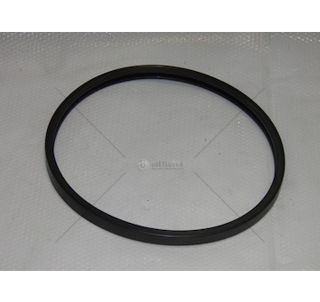 Těsnění termostatu RVI MAGNUM DXI TZERLI 21503575/Z