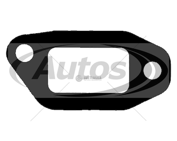 Těsnění trubky výfuku rvi midlum,premium, manager,  0037521_A