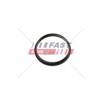 Těsnění vakuové pumpy ford transit 13> 2.2tdci ft49853