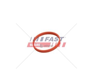 Těsnění ventilu egr renault kangoo ii 08> egr tube 1.5 dci ft50628