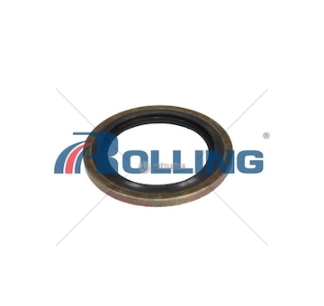 Těsnění víčka palivové nádrže VOLVO,RVI BKR RV-01868