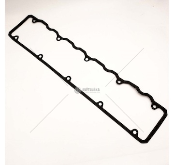 Těsnění víka hlavy Avia Euro