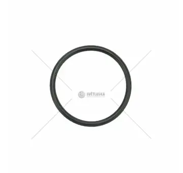 Těsnící kroužek 21,95x1,78mm | 6005022039
