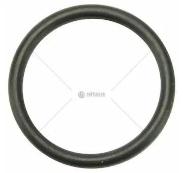 Těsnící kroužek 25x21 čsn022980.2,čsn029280.9 | 97-4392