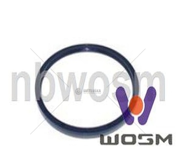 Těsnicí kroužek hřídele, klikový hřídel WOSIMAN B-209