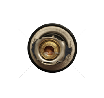 Thermostat, coolant EUROCARGO EURO 6 88° Iveco