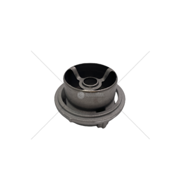 Thermostat, coolant STRALIS - F3AE/F3BE BTT Solutions