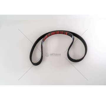 Timing Belt 8140 - DAILY/DUCATO - 2.5TDI/2.8TD Iveco