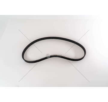 Timing Belt CINGHIA DENTATA DOBLO/PUNTO Dayco