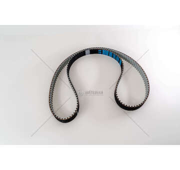 Timing Belt CINGHIA DISTRIBUZIONE 178 RPP 300 Dayco