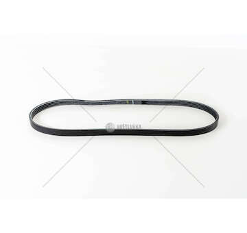 Timing Belt F1AE0481/3481 - DUCATO/DAILY 2 Iveco