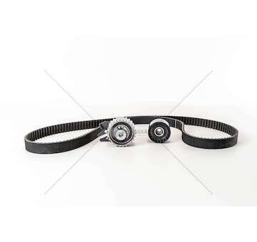 Timing Belt Set 182A7/192A1 - DOBLO'/BRAVO 1.9 Ina