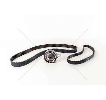 Timing Belt Set AAB/AJA - TRANSPORTER 2.4D Ina