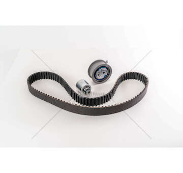 Timing Belt Set AX/BR - TRANSPORTER/GOLF -1.9TDI Ina