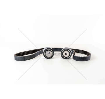 Timing Belt Set DW12ATED4-ULYSSE/C5/406 2.2JTD/HDI Ina