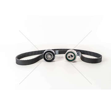 Timing Belt Set DW8 - SCUDO/RANCH/BERLINGO 1.9D Ina