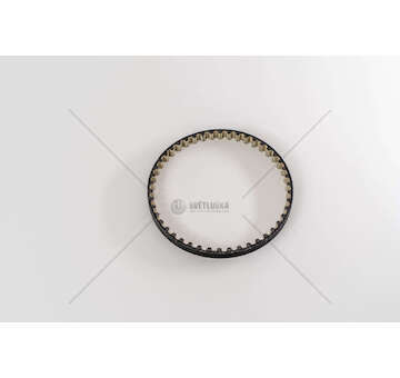 Timing Belt TRANSIT/FIESTA/FOCUS 1.0 ECOBO Dayco