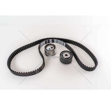 Timing Chain Kit CINGHIA SCUDO 2.0 MTJ RHX/RHZ/RHW/4HX RHK R Fai Autoparts