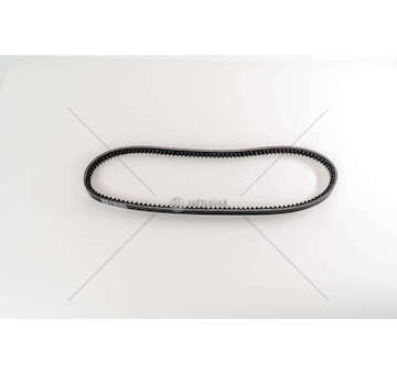 V-Belt 8060 - EUROCARGO Dayco