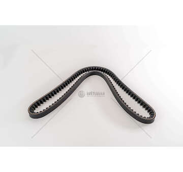 V-Belt 8210 - EUROSTAR/EUROTECH Dayco