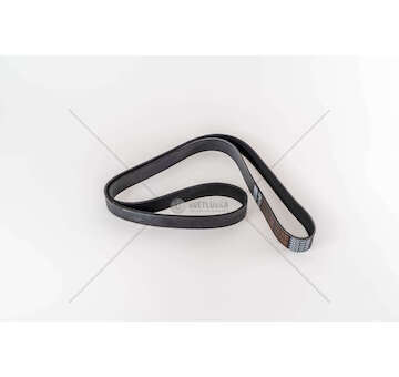 V-Belt AXOR 2 Dayco