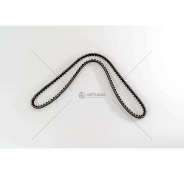 V-Belt CINGHIA 10X1200 Dayco