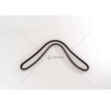 V-Belt CINGHIA 13X1300 Dayco