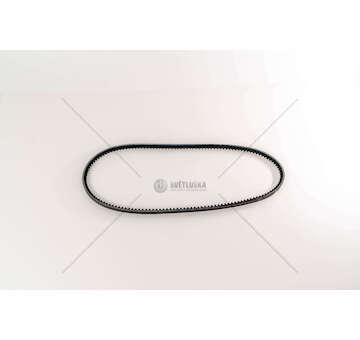 V-Belt CINGHIA DENTATA 10 X 1000 Iveco