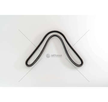 V-Belt DSC 14 - 3-SERIES Dayco