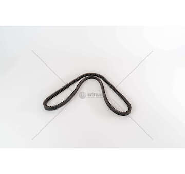 V-Belt RAW EDGE BELT 13A1125C-6769 Dayco