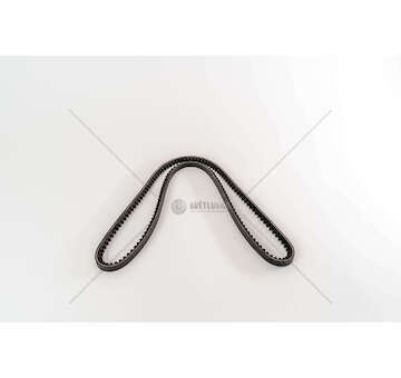 V-Belt T440/D2866 - MIDLINER/LION Dayco