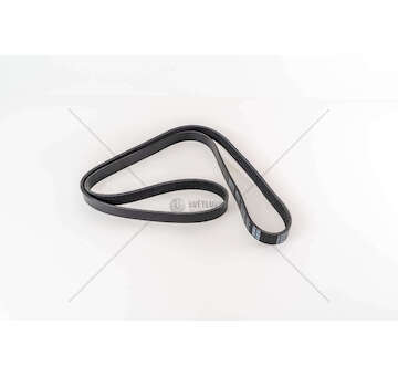 V-Ribbed Belt 1,6 MULTIJET - DOBLO' Dayco