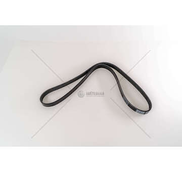 V-Ribbed Belt 192 A8.000 1,9 MULTIJET - BRAVO Dayco