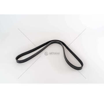 V-Ribbed Belt 263A3/940A3 - 500X/DOBLO 1.6/2.0MTJEURO 5/6 Dayco