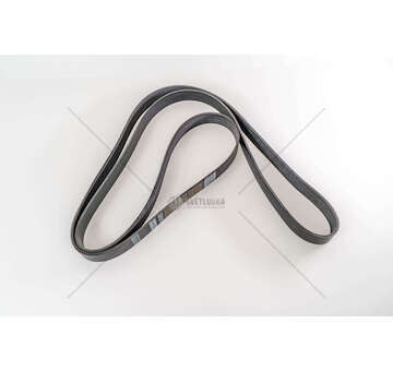 V-Ribbed Belt 9069/9049 - AXOR/ATEGO Dayco