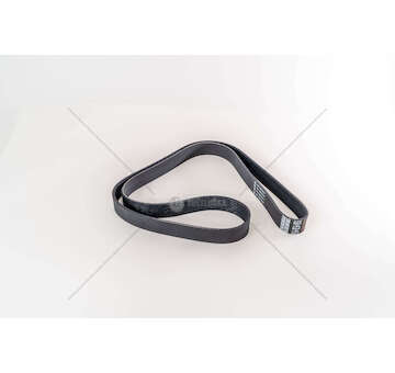 V-Ribbed Belt CF65/LF45/LF55 -CF/LF SERIES Dayco