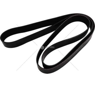 V-Ribbed Belt CINGHIA 10PK2050 Dayco