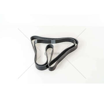 V-Ribbed Belt CINGHIA 11PK2835 Dayco