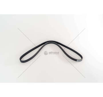 V-Ribbed Belt CINGHIA 4PK1070HD Dayco