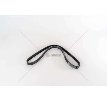 V-Ribbed Belt CINGHIA 5PK1025 Dayco