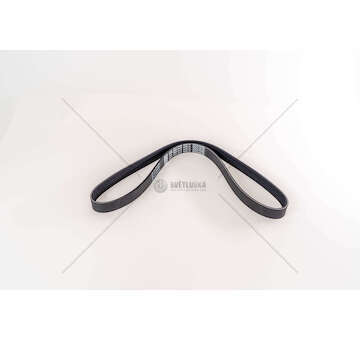 V-Ribbed Belt CINGHIA 6PK1050 Dayco