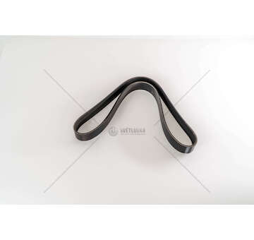 V-Ribbed Belt CINGHIA 8PK1054 Dayco