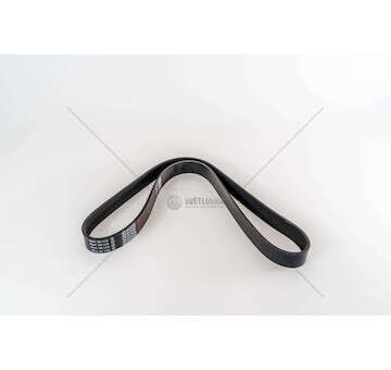 V-Ribbed Belt CINGHIA 8PK1190 Dayco