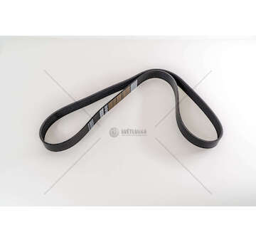 V-Ribbed Belt CINGHIA 8PK1420 Dayco