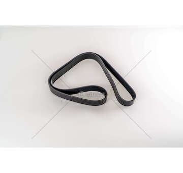 V-Ribbed Belt CINGHIA 8PK1460 Dayco