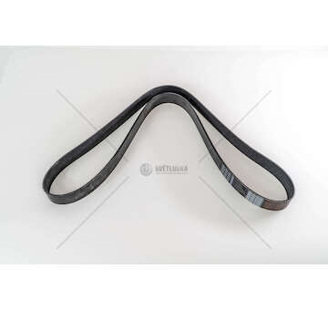 V-Ribbed Belt CINGHIA 8PK1500 Dayco